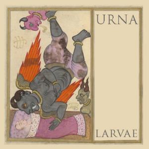 Urna Larvae album cover