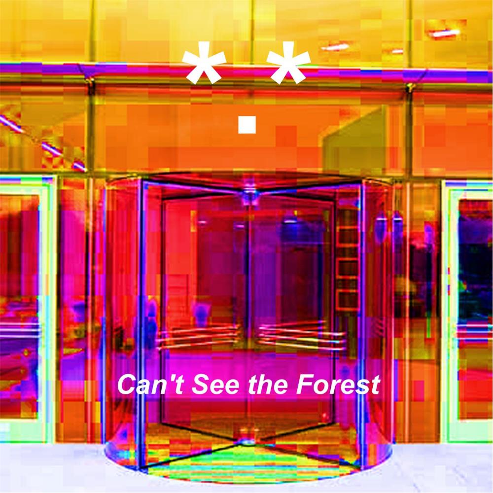 Star Period Star - Can't See The Forest CD (album) cover