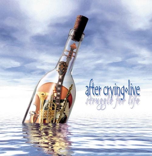 After Crying - Struggle for Life CD (album) cover