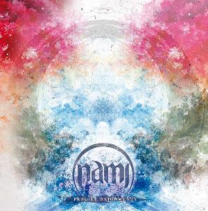 Nami - Fragile Alignments CD (album) cover