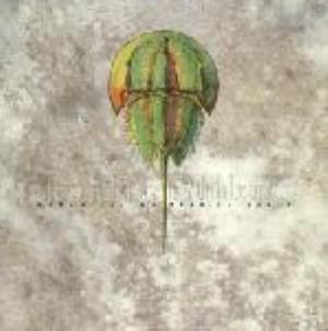 Z.O.A Melancholiac Composers with No Destinations album cover