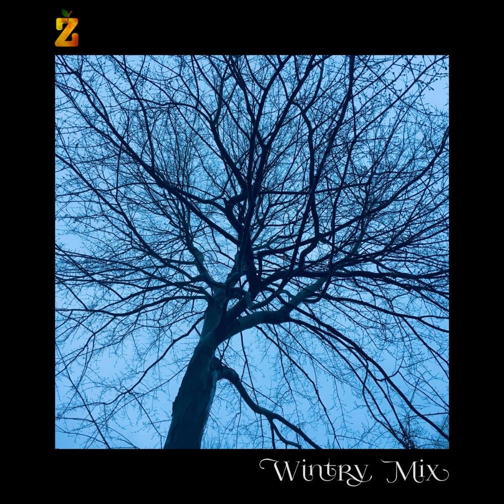The Apple Zed Wintry Mix album cover