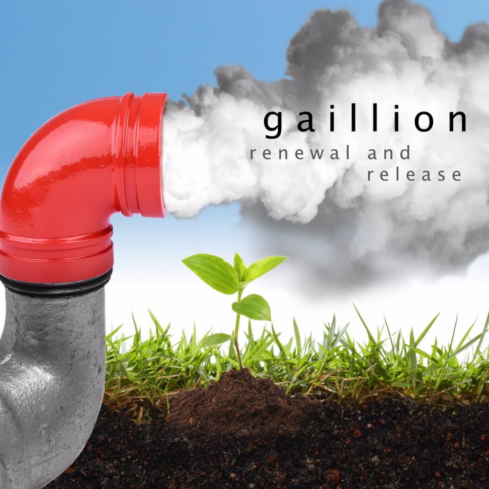 Gaillion Renewal and Release album cover