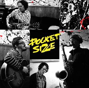 Pocket Size Sthlm The Dustman Sessions album cover
