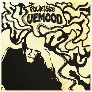 Pocket Size Sthlm Vemood: Cleaning the Mirror, Volume 1 album cover
