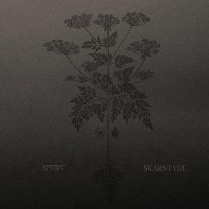 Spurv - Skarntyde CD (album) cover