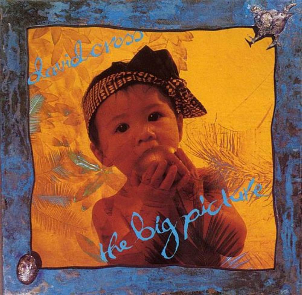 David Cross - The Big Picture CD (album) cover
