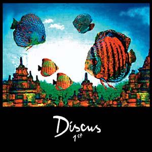 Discus 1st album cover
