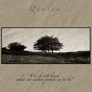Qualia We Do Not Know What Our Nature Permits Us To Be album cover
