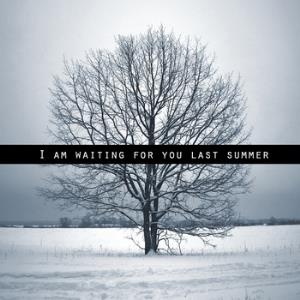 I Am Waiting for You Last Summer I Am Waiting For You Last Summer album cover