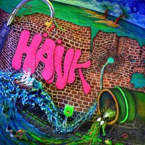Salaiva - Hnk CD (album) cover