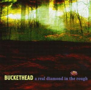 Buckethead - A Real Diamond in the Rough CD (album) cover