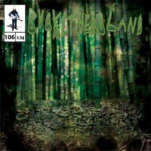 Buckethead - Forest of Bamboo CD (album) cover