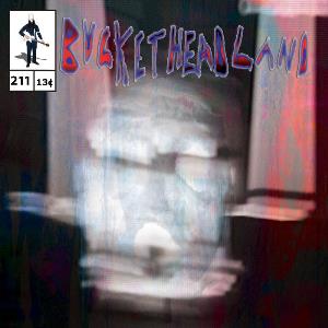 Buckethead - Screen Door CD (album) cover