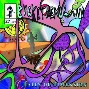 Buckethead - Halls of Dimension CD (album) cover