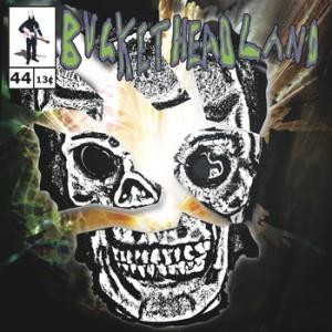 Buckethead Triple Stamp a Double Stamp album cover