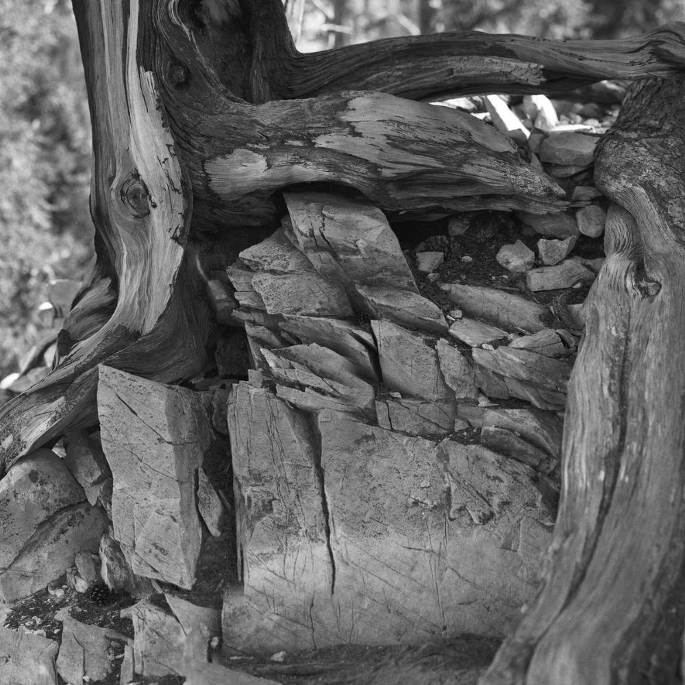 Ion A Path Unknown album cover