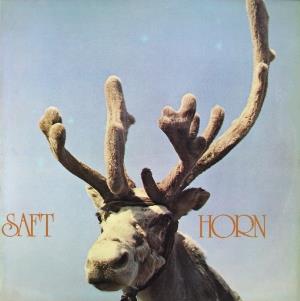 Saft - Horn CD (album) cover
