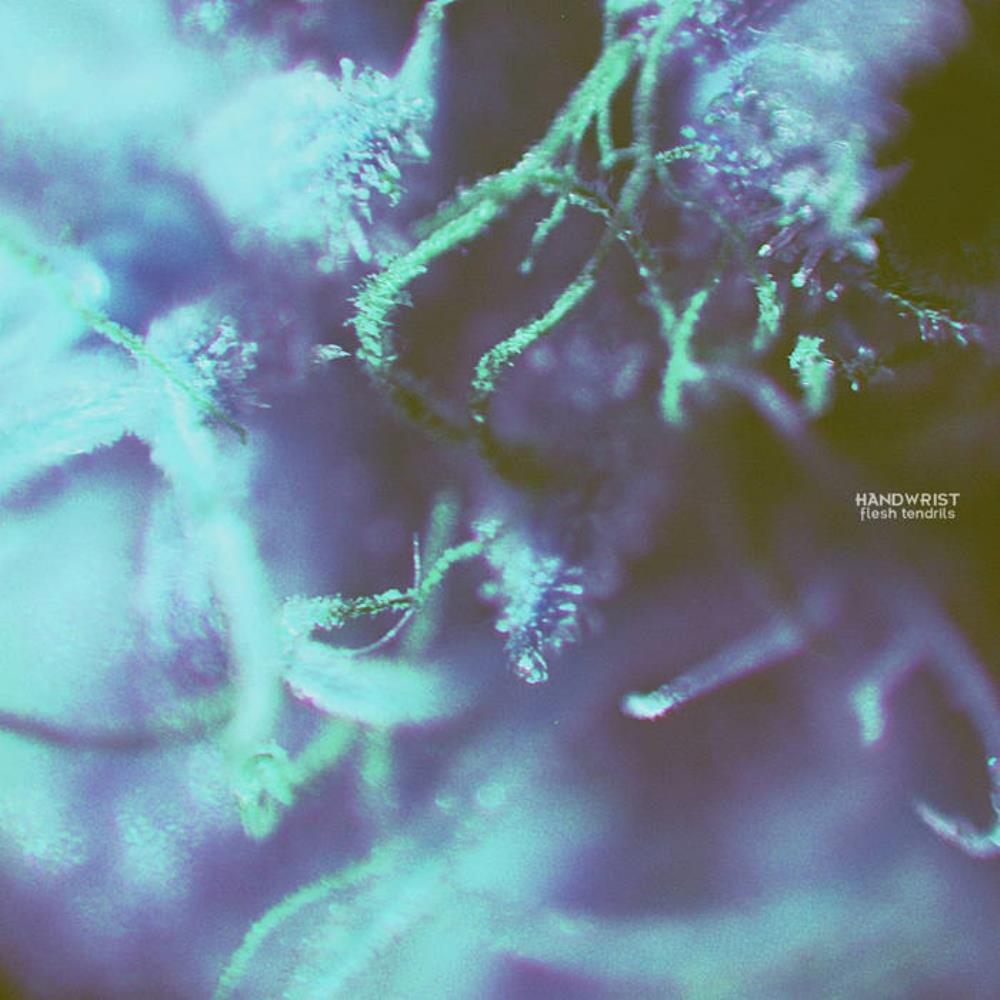 Handwrist - Flesh Tendrils CD (album) cover