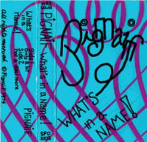 Pig'n'Aif What's in a Name album cover