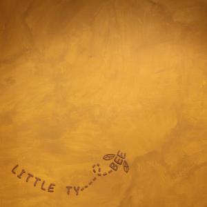 Little Tybee - Humorous to Bees CD (album) cover