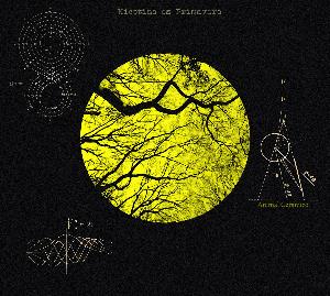Nicotina Es Primavera - Animal Cermico CD (album) cover