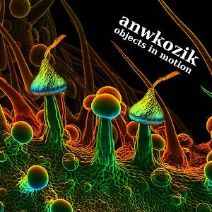 Anwkozik - Objects In Motion CD (album) cover